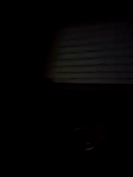 Shinlelove31 online show from 02-15-26, 11:03