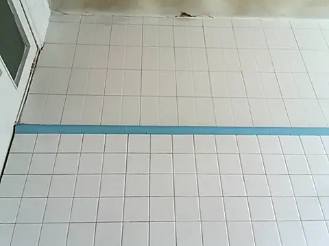 Lord Govinda online show from 04-14-26, 03:17