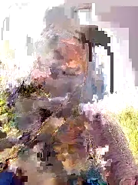 Pallavi hote online show from 02-22-26, 06:05