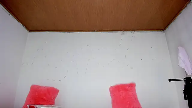 Snapshot of karol_kane chatting on 02-13-26, 03:23 karol kane online show from 02-13-26, 03:23