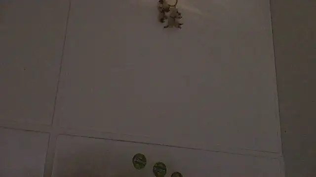 Snapshot of pbilip7787 chatting on 02-28-26, 09:58 pbilip7787 online show from 02-28-26, 09:58