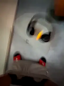 cetriolino online show from 03-12-26, 06:17