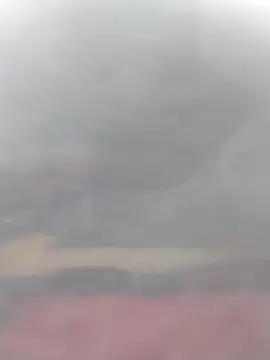 cobrosdepagos online show from 03-14-26, 03:07