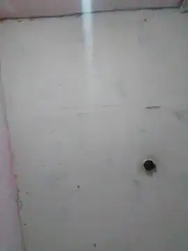 cobrosdepagos online show from 02-19-26, 01:57