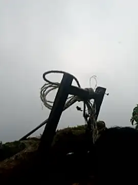 nelina 12345 online show from 04-16-26, 11:22