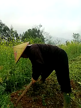 nelina 12345 online show from 03-26-26, 01:48