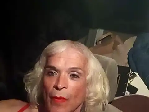 Snapshot of dustbunny64 chatting on 03-21-26, 10:09 dustbunny64 online show from 03-21-26, 10:09