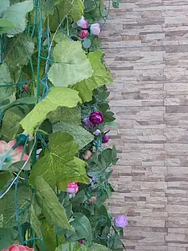 Roma xxx online show from 02-14-26, 10:21