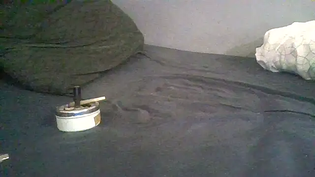 Snapshot of BonneQueueBonjour chatting on 02-22-26, 11:45 BonneQueueBonjour online show from 02-22-26, 11:45