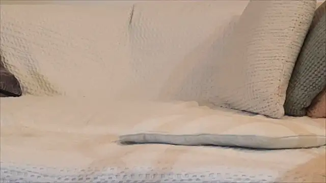 irohsako online show from 04-22-26, 08:37