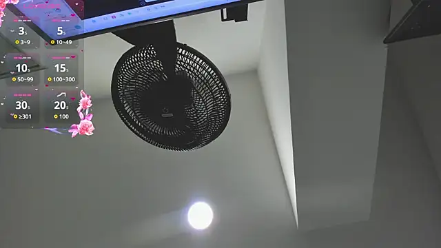 agartha velvet online show from 03-30-26, 03:41