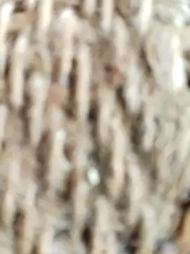 SONY BABY online show from 04-02-26, 03:24