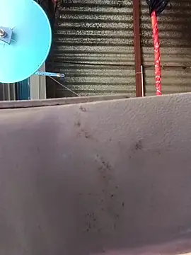 taniya0 online show from 04-14-26, 06:07