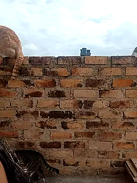 kiki milu online show from 03-17-26, 01:47