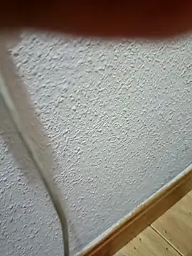 PaRdEDo2 online show from 02-15-26, 12:22