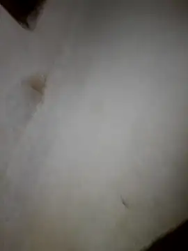 iwantolderwmn online show from 02-19-26, 01:46