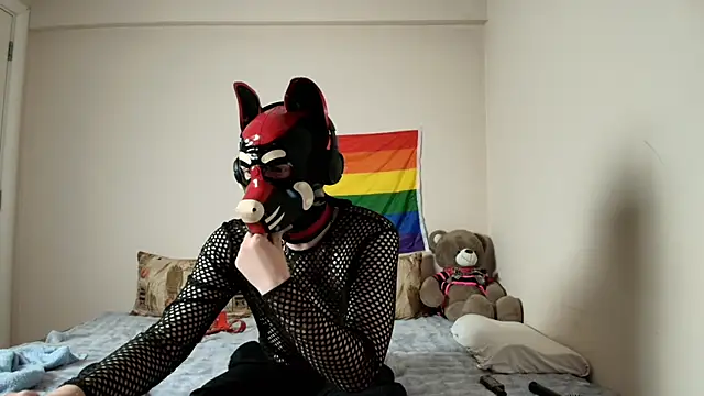 K9 GoodBoy online show from 04-09-26, 05:52