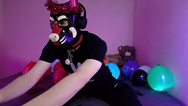 K9 GoodBoy online show from 03-26-26, 07:34