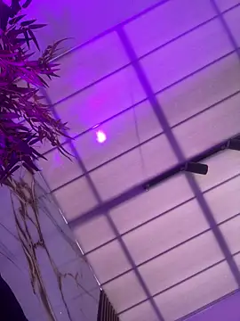 TREINY EC online show from 02-18-26, 01:29