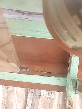 Snapshot of euchapo99 chatting on 02-19-26, 01:52 euchapo99 online show from 02-19-26, 01:52