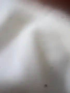 Jaybraconect online show from 02-21-26, 05:09