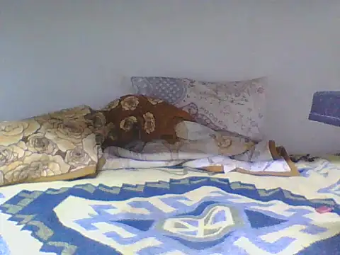 ahmetsoner0249 online show from 04-24-26, 06:21