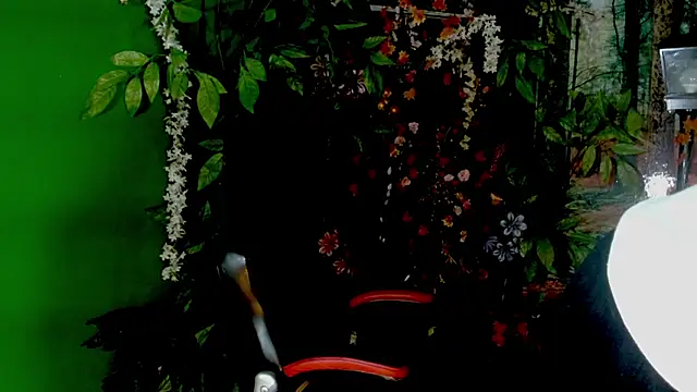 Snapshot of Darkiin_FTM chatting on 02-28-26, 03:50 Darkiin FTM online show from 02-28-26, 03:50