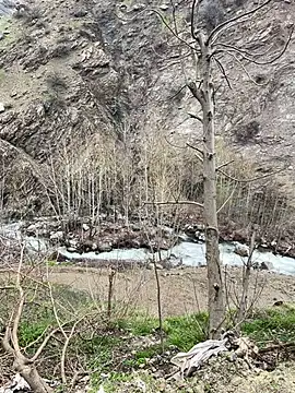 TurkeyMen online show from 04-08-26, 09:11