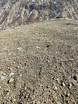 Snapshot of TurkeyMen chatting on 03-03-26, 10:11 TurkeyMen online show from 03-03-26, 10:11