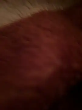 Crevette311 online show from 12-22-25, 09:15