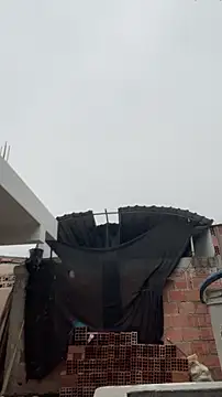 walterktm online show from 03-24-26, 04:29