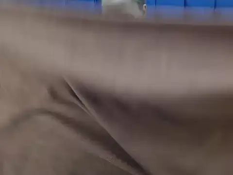 CurvyAssXX21 online show from 02-21-26, 06:26