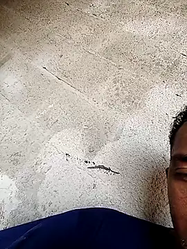 negopreto  online show from 02-24-26, 07:37