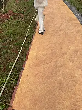 zhuendong000001 online show from 03-13-26, 10:09