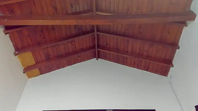 TonyPetrovjs online show from 03-26-26, 04:44