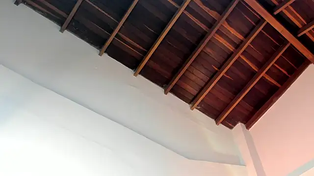 TonyPetrovjs online show from 04-01-26, 04:58