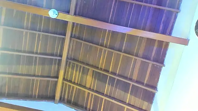 TonyPetrovjs online show from 02-26-26, 05:51