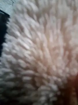 iambesting online show from 02-28-26, 11:21