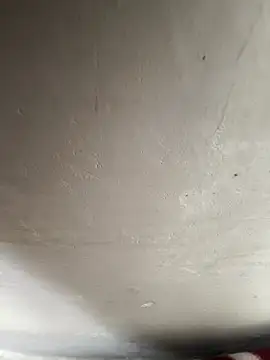 reena-sassy online show from 02-20-26, 08:27