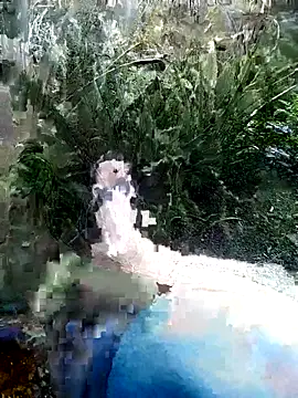 Snapshot of mar_coral2 chatting on 07-07-26, 01:36 mar coral2 online show from 07-07-26, 01:36