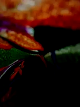 wifedesi7050 online show from 04-20-26, 08:21