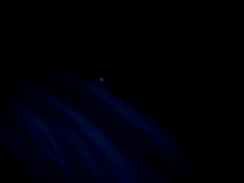 vladsexyguitar online show from 03-04-26, 01:02