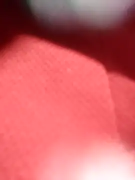 Snapshot of jackkk0011 chatting on 02-26-26, 12:49 jackkk0011 online show from 02-26-26, 12:49