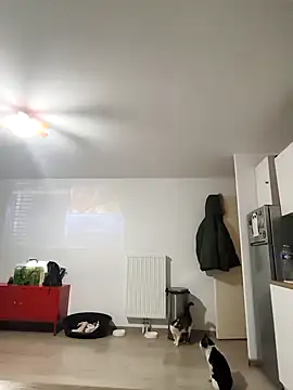 eruzam59000 online show from 03-07-26, 07:04