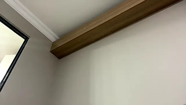 AleciaGeidner online show from 02-24-26, 03:46