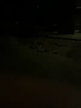 princessandthefootjob online show from 03-31-26, 04:36