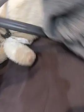 NniuAh online show from 03-10-26, 09:13