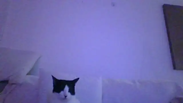 kinkykara25 online show from 04-29-26, 09:10