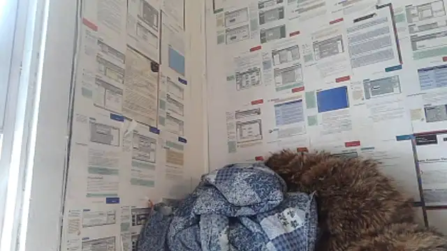 BunnyYT online show from 03-07-26, 07:52