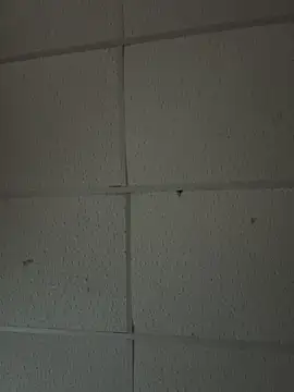 BunnyYT online show from 05-12-26, 10:32